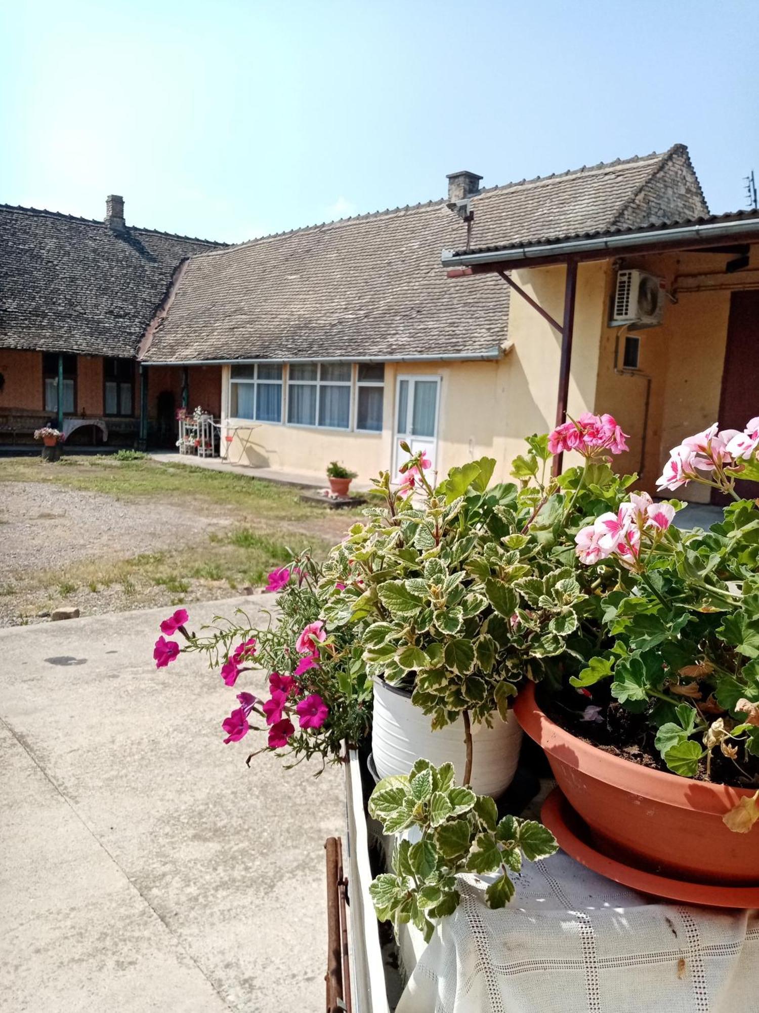 Apartman Dragulj 2 Kula Exterior foto